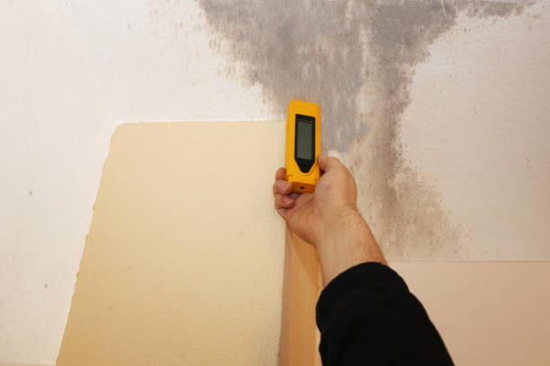 Best Residential Mold Inspection & Testing  in Sylvania, AL
