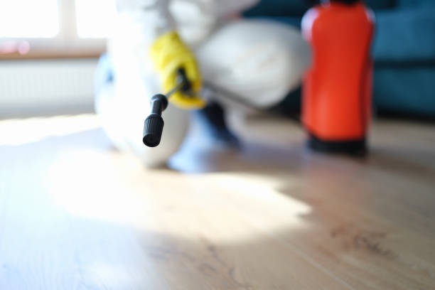 Best Post-Remediation Verification Testing  in Sylvania, AL