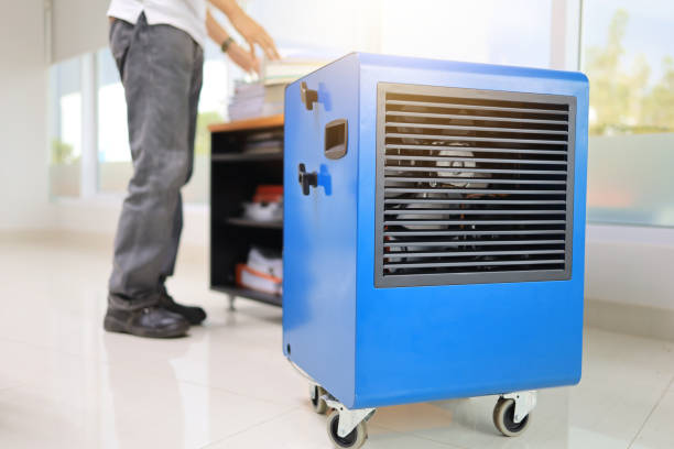 Best Mold Removal for HVAC Installations  in Sylvania, AL