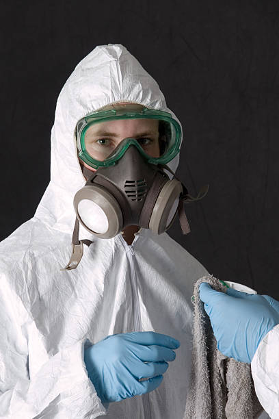 Best Mold Damage Restoration  in Sylvania, AL